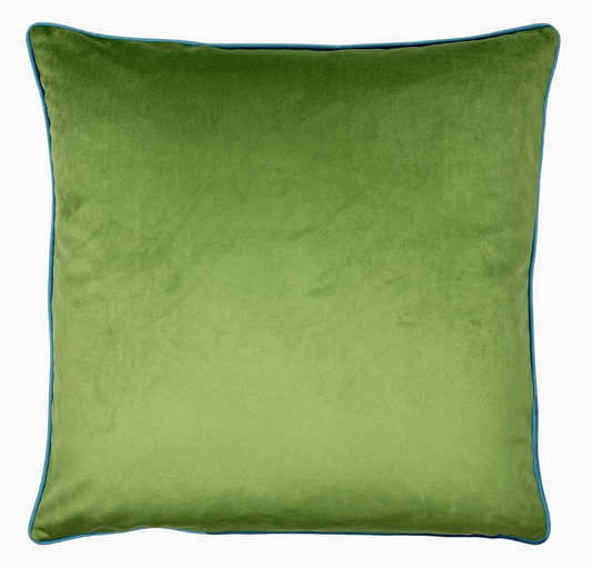 Velvet Pillow